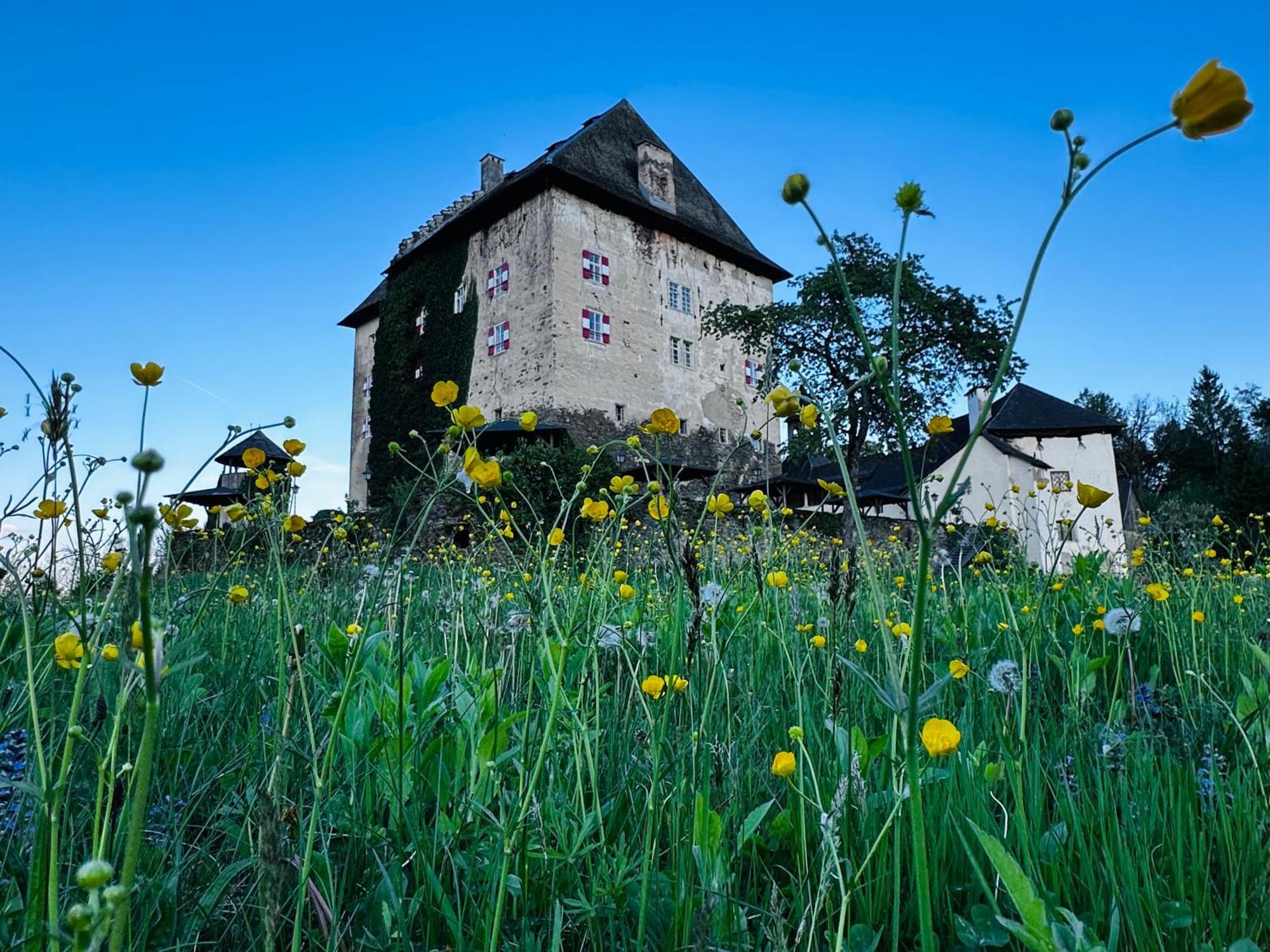 Schloss Moosburg Gaestehaus Exteriör bild